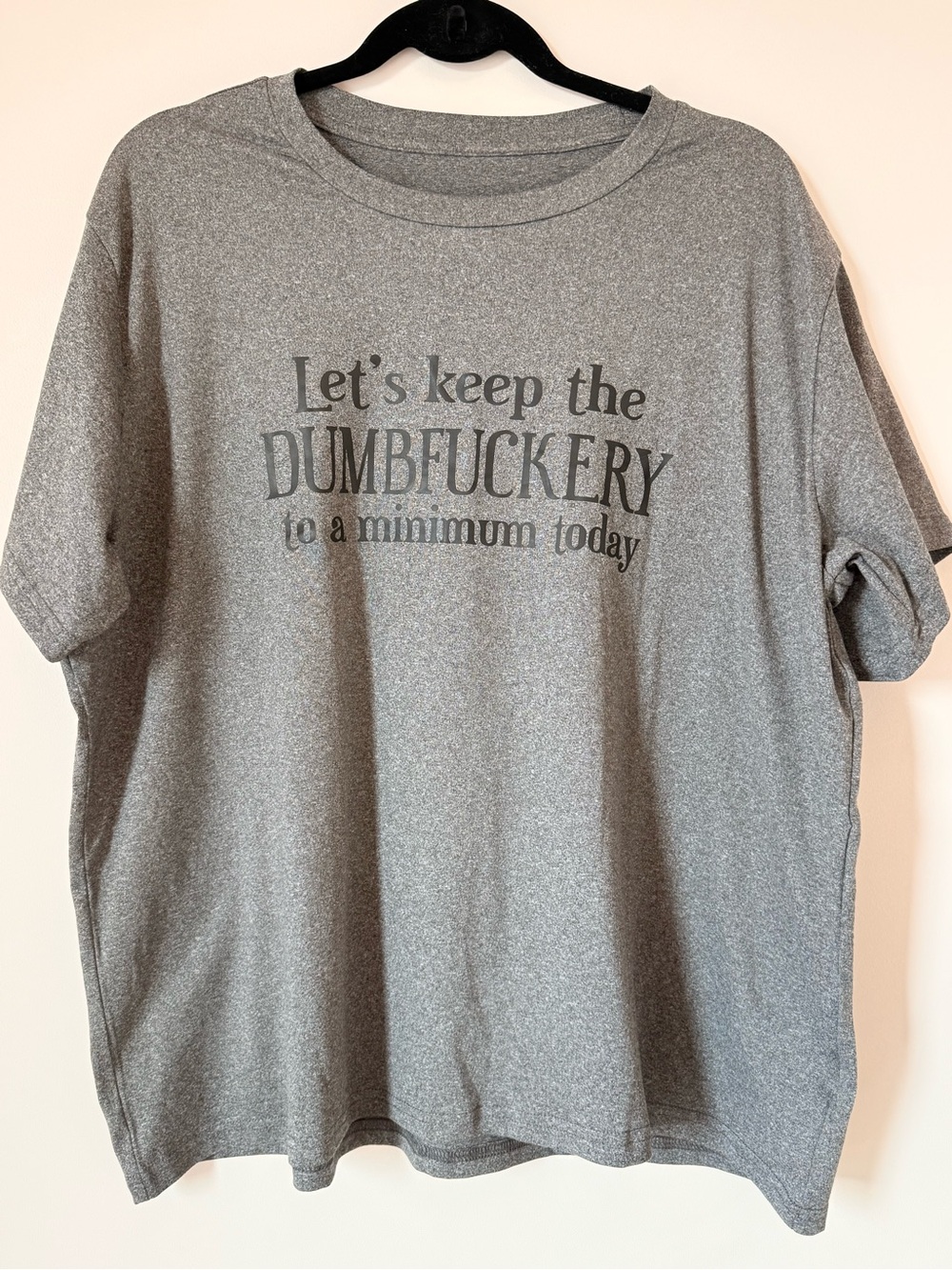 Shein Gray Graphic Tee - Let's Keep the Dumbfuckery to a Minimum